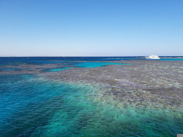 туры в Шарм-эль-Шейх на сентябрь